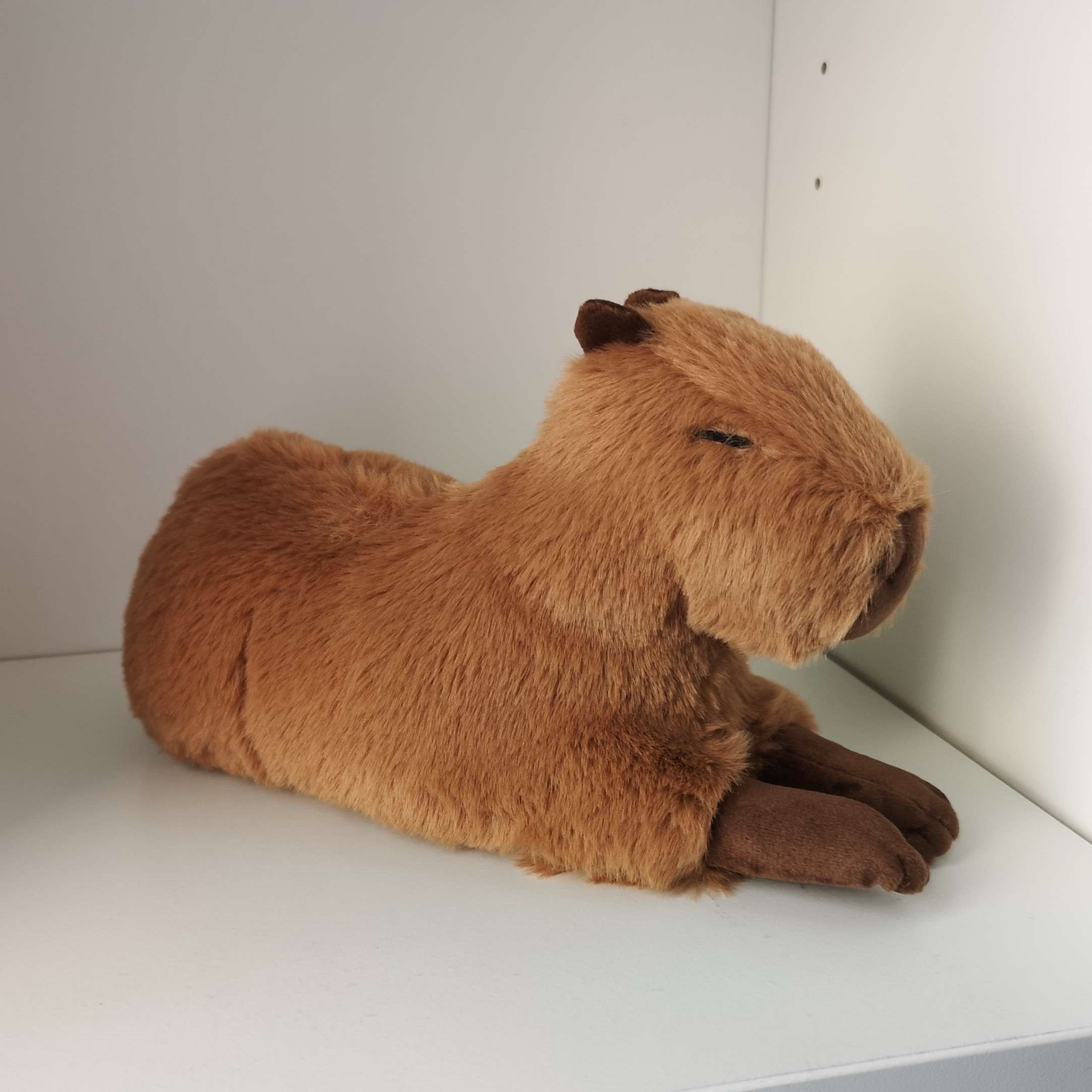 cabybara